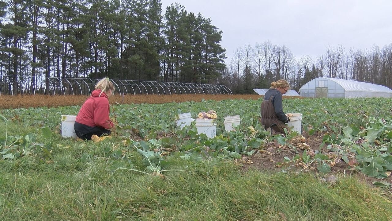 Concerns surround canceled farmers market as vendors allege months of unpaid dues
