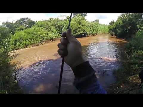 QUAL PESCADOR É MAIS MENTIROSO? KKKKK
