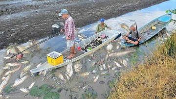 Đi kích  cá vuông tôm toàn cá lóc khủng lên liền con đã tay | fishing fish