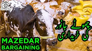 Small Cattle Price & BARGAINING at Sohrab Goth Cow Mandi 2021 Bakra Eid 2021 | Cattle Market Karachi