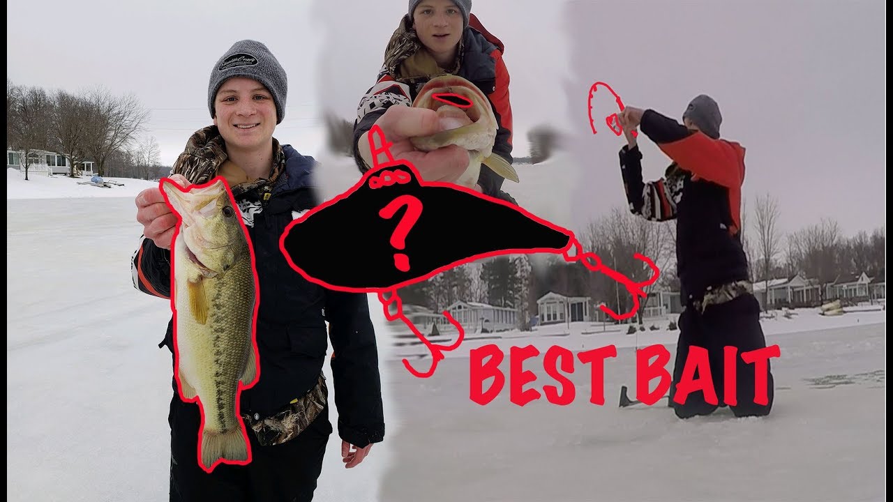 Best Ice Fishing Bait Ever!!! (My PB Ice Fishing) YouTube