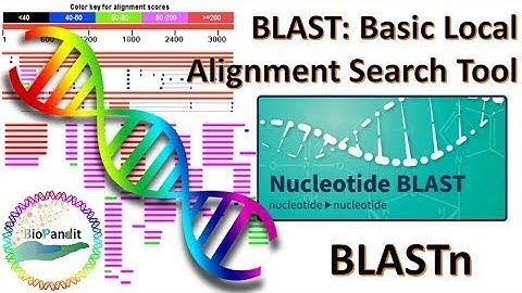 NCBI Blast Searching Tutorial | How to conduct NCBI Blast