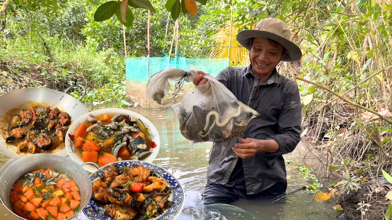 Đổ Dớn Mùa Nước Nổi - Rắn Nước Hầm Đu Đủ, Cá Trê Trắng Kho Khô  | MLQ #25