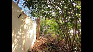 Puerto Rico Estampas de mi Isla,Guanica!!!