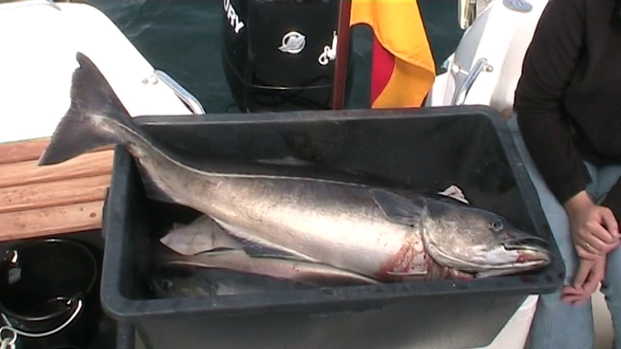 Vistdal 2010 Angeln Norwegen