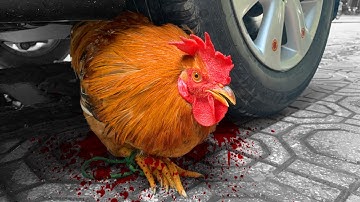 Experiment: Car vs CHICKEN (Coca Cola, Fanta, Mirinda)! Crushing Crunchy & Soft Things by Car!