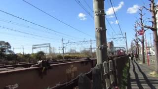 EF210-6桃太郎牽引コンテナ貨物列車辻堂駅~藤沢駅通過(汽笛あり)