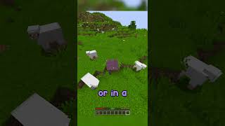 Minecraft, But I Become a Strider…