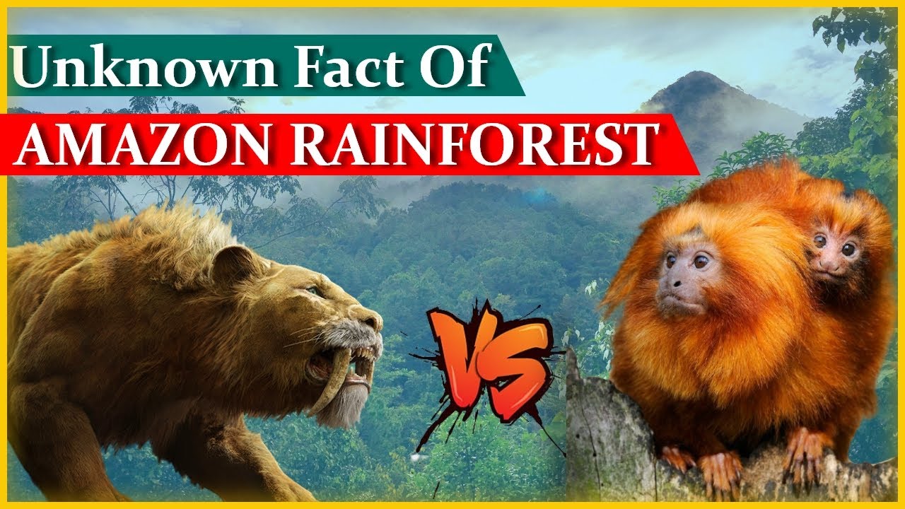 Unknown Facts Of Amazon Rainforest | Amazon Forest | Random Fact | 2021 |The Secret Of Earth
