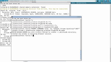 Firefox 3.6 playing webm file successfully on Fedora 14: thanks metalx1000 and gotbletu