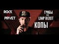 Грибы / Limp Bizkit - Копы (Cover by ROCK PRIVET)