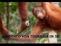 Borneo von tourasia  ein dokumentarfilm in 3d