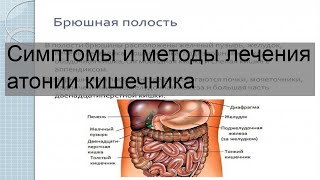 Симптомы и методы лечения атонии кишечника