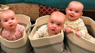 Les vidéos les plus drôles de bébés jumeaux et de bébés triplés qui rendront votre journée entière h