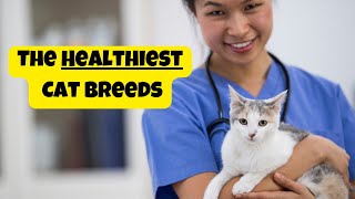 Which Cat Breed is Least Prone to Health Issues? | The Healthiest Cat Breeds