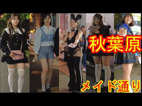 夜の秋葉原をお散歩！オタクの聖地から繁華街へ・メイド通り！ホス狂いのメイドの客引きの実態！ Walk in Tokyo Akihabara, Walking in Japan maid Girls