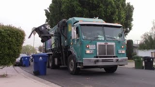 LA City Amrep ASL Slammin' Carts