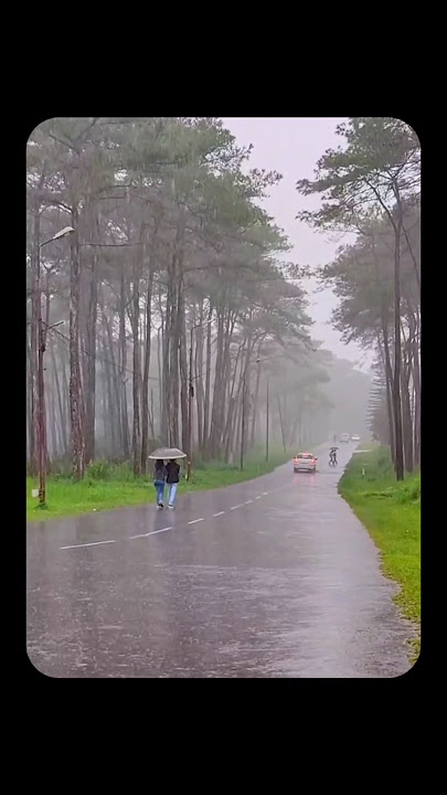 NEHU Shillong Campus 🎬🇮🇳#nehushillong #meghalaya