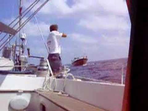 Video: Registra La Pena Detentiva Per I Pirati Britannici