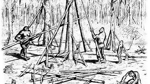 Ode to Sasquatch Structures