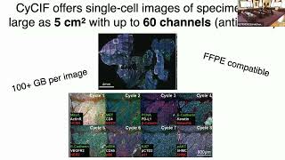 Image processing, visual analytics, and data sharing for whole-slide imaging