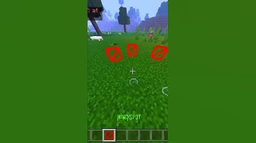 How To Get Invisible Block #minecraft #shorts