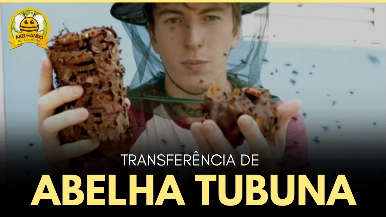 1ª Transferência de Tubuna do canal! Foi uma verdadeira aventura!