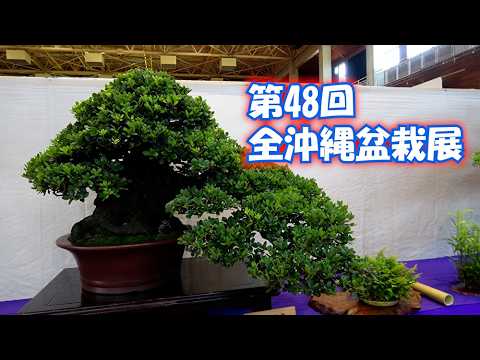 The 48th All Okinawa Bonsai Exhibition BONSAI WORLD [174] - YouTube