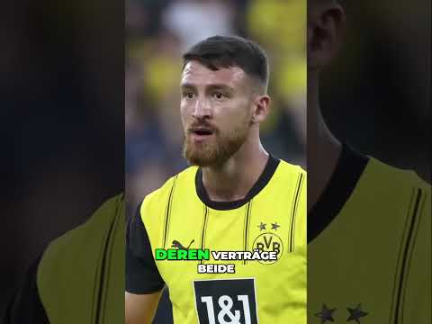 BVB Beben: 6