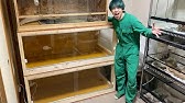 コスパ最強 自作温室を作ってみた Youtube