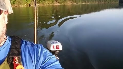 Watersnake ASP T24 Is A Great Motor For Your Kayak or Canoe