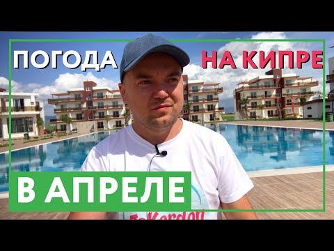Какая погода на