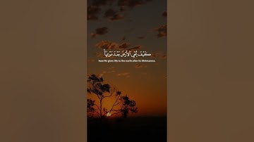 قران كريم #اكسبلور #المصحف #راحة_نفسية #الرحمن