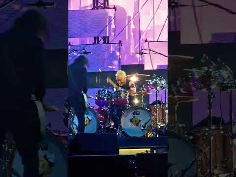 Foo Fighters insane