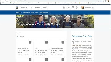 Email Feature in Brightspace