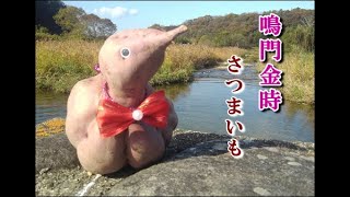 【鳴門金時】さつまいも Bird（変形）「清水ファームつるぎ」　徳島県つるぎ町2021