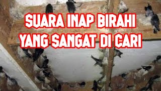 SUARA INAP BIRAHI YANG PALING DI CARI MEMBUAT BW BETAH DI RUANG INAP