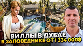 ✅ Виллы в Дубае в Заповеднике на Берегу Моря от 2900 м2: ЭЛИТНАЯ НЕДВИЖИМОСТЬ в Дубае в 2024 году