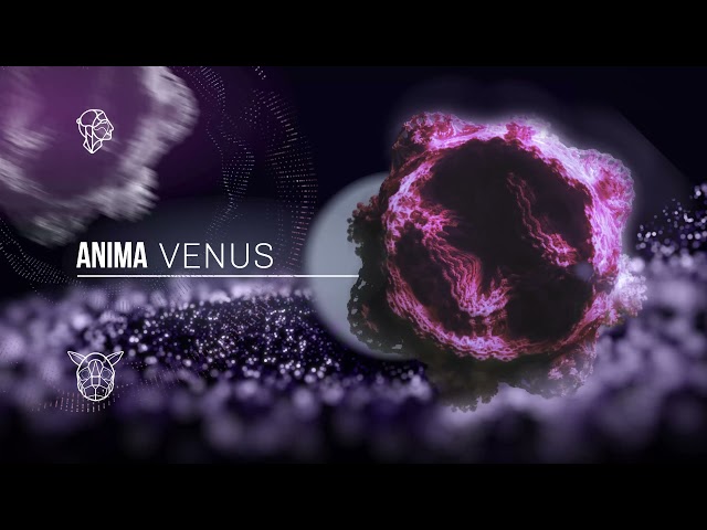 Anima - Venus