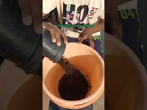 nitrogen rich fertilizer