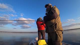 Да куда столько рыбы! Рыбалка на спиннинг в Калининградском заливе.