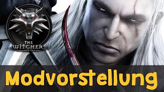 The Witcher 1: Mods für das Let's-Play-Projekt