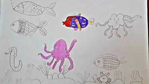 Mĩ thuật lớp 2/chủ đề 2/vẽ con vật sống dưới nước/p4/Ngọc NguyễnTV/mỹ thuật Đan Mạch/cánh diều.