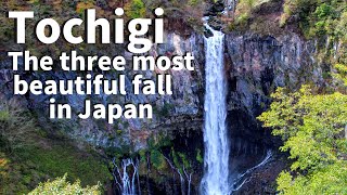 【Tochigi/Nikko】Walking at Kegon Falls（Autumn Leaves, Waterfalls, Japanese Food etc）