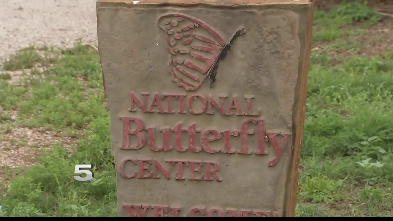 Private border wall continues to have erosion problems YouTube