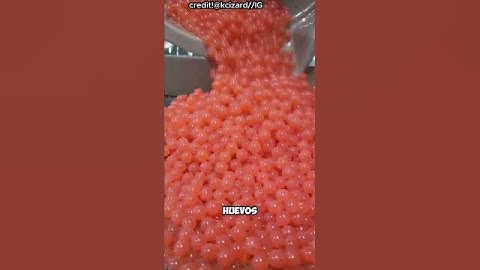 La cría artificial del salmón explicada