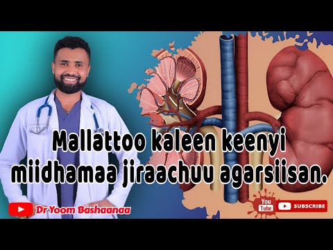 Mallatoolee Kaleen Keenyi Miidhamaa Jiraachuu Isaa Argisiisan 