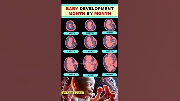 Month by Month Baby Development | What’s Happening Inside? #pregnancy #shortsvideo  #baby #health