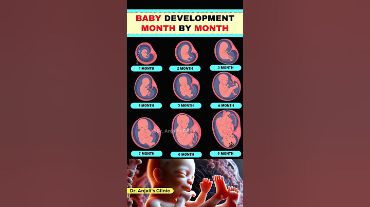Month by Month Baby Development | What’s Happening Inside? #pregnancy #shortsvideo  #baby #health