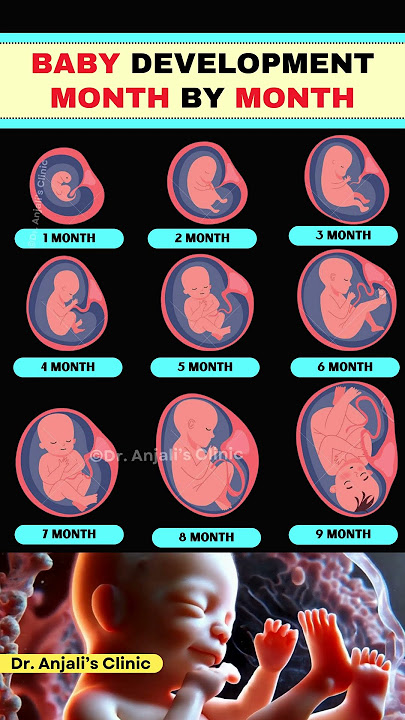 Month by Month Baby Development | What’s Happening Inside? #pregnancy #shortsvideo  #baby #health